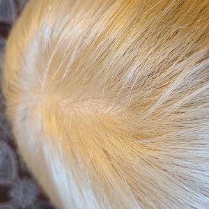 Synthetic wig with full monofilament top